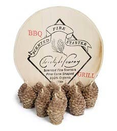 Pine Cone Beeswax Fire Starters