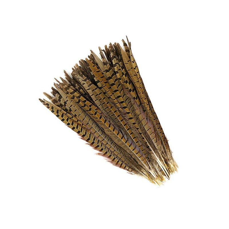 Ringneck Pheasant Tails 12-14" - Natural