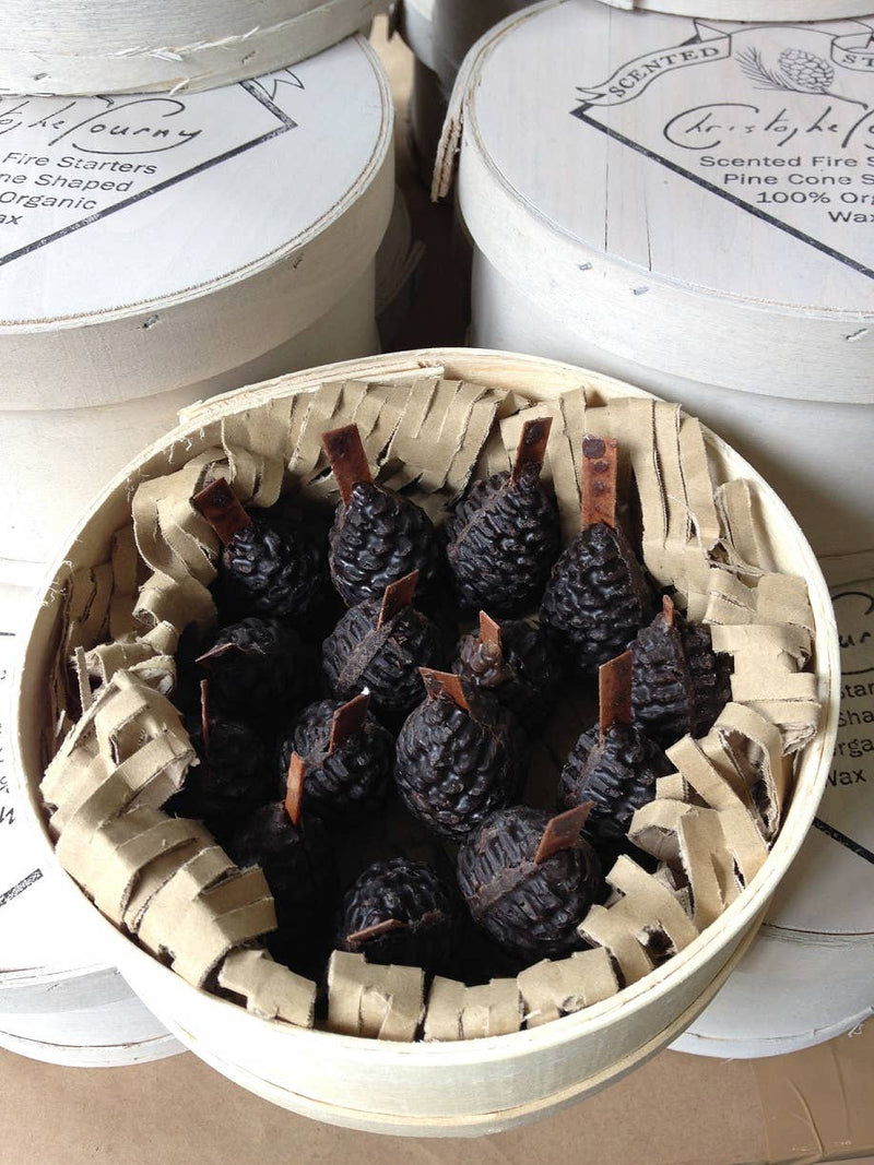 Pine Cone Beeswax Fire Starters