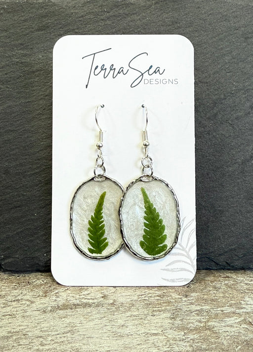 Fern earrings on a card with 'Terra Sea Designs' branding against a dark slate background.