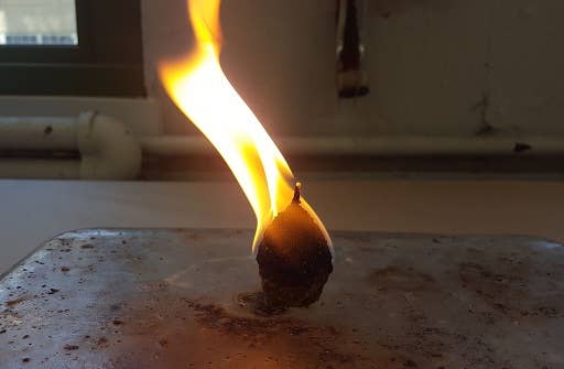 Pine Cone Beeswax Fire Starters