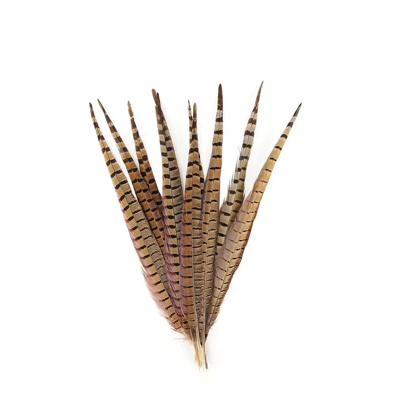 Pheasant Tails Assorted Natural -14-18"