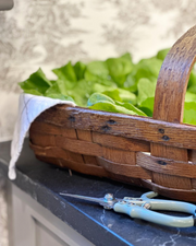 A pair of blue-handled garden shears with a carbon steel blade, resting on a wooden basket containing fresh green leaves, placed on a marble surface.