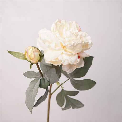 Cream with hint of pink silk peony flower stem with green leaves on a light gray background 