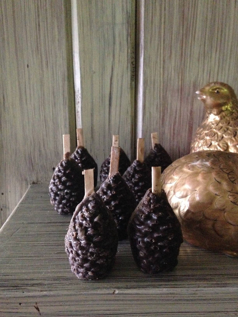 Pine Cone Beeswax Fire Starters